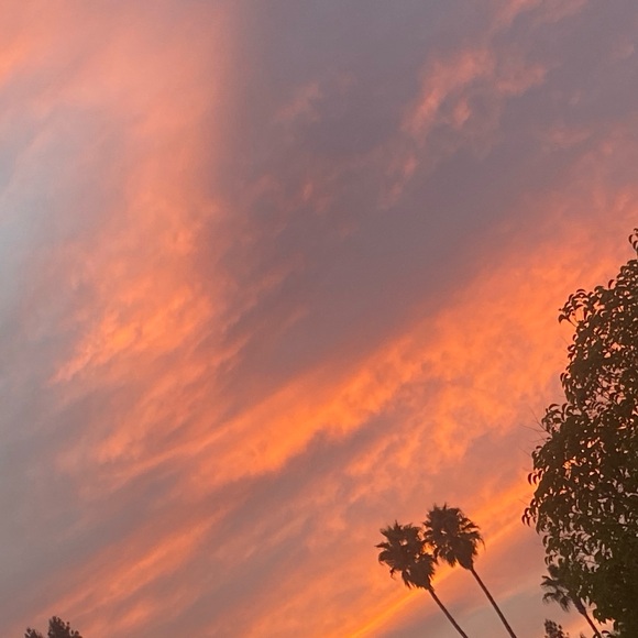 Meet your Posher, Raylene - Picture 1 of 1